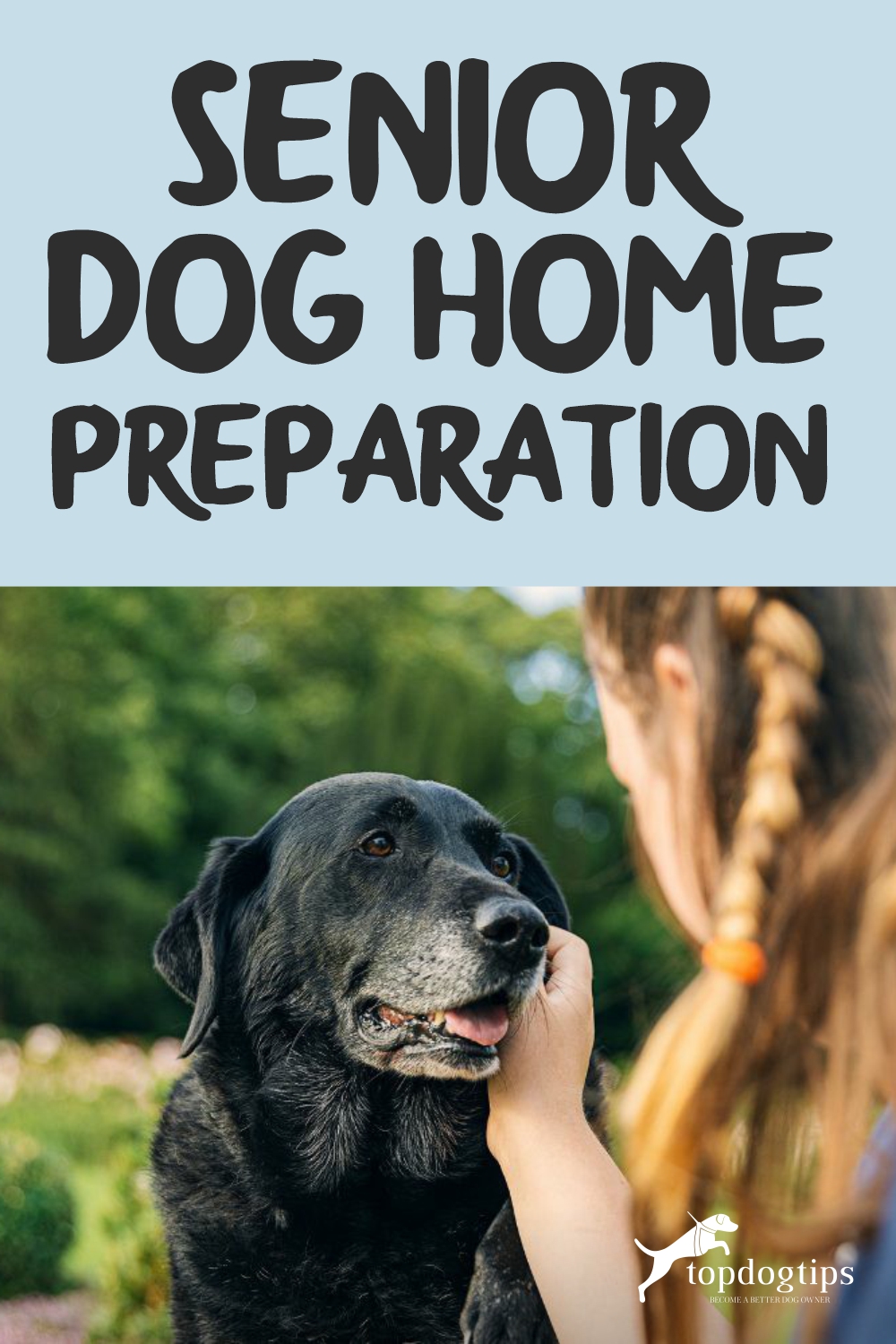 Senior Dog Home Preparation