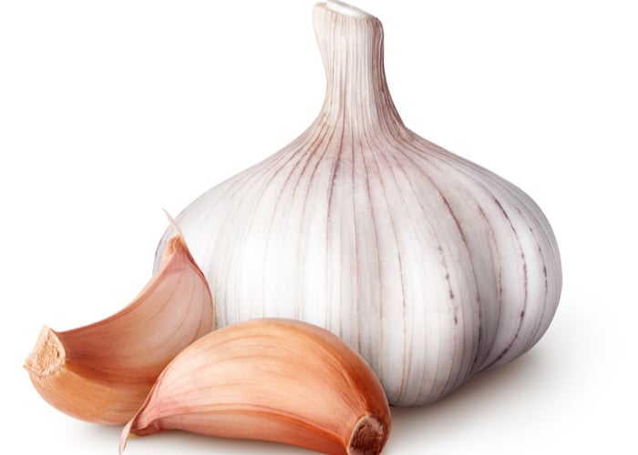garlic - natural treatment for giardia in dogs