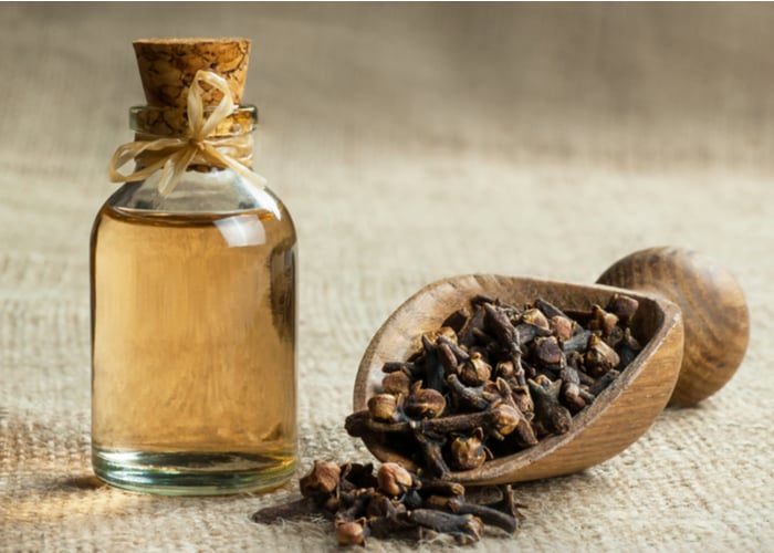 cloves oil helps cure giardia naturally