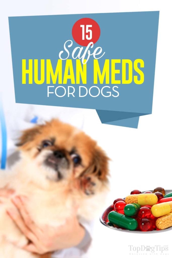 The 15 Safe Human Meds for Dogs