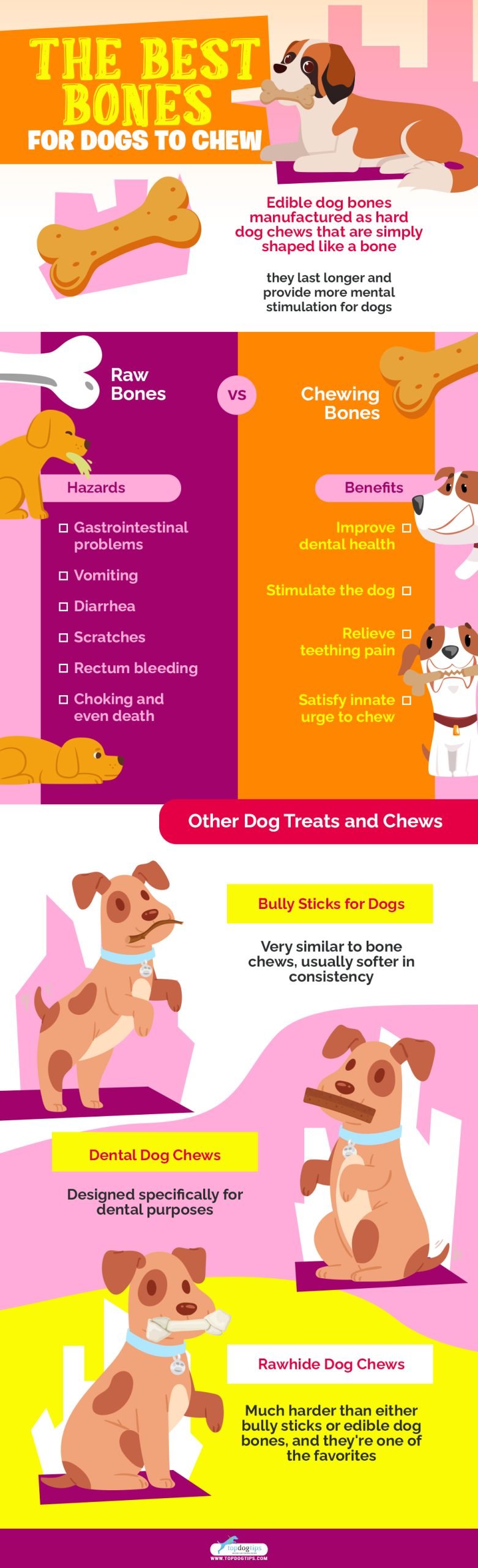  Best Bones for Dogs to Chew 