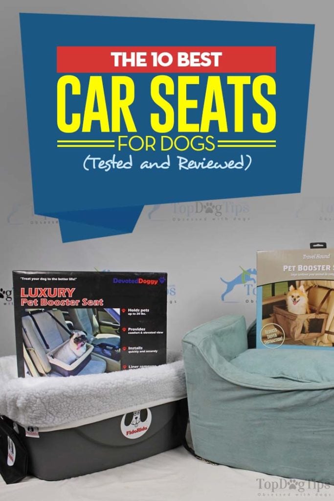 The Best Dog Car Seat Brands