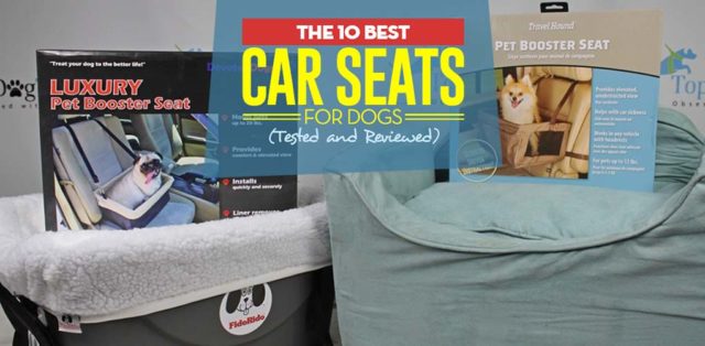 The Best Dog Car Seat Review
