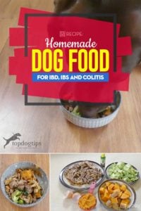 The Best Homemade Dog Food for IBD, IBS and Colitis Recipe