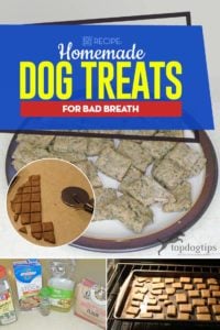 The Best Homemade Dog Treats for Bad Breath Recipe