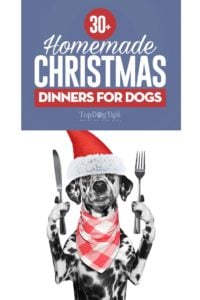 The Best Homemade Dogs Christmas Dinner Ideas