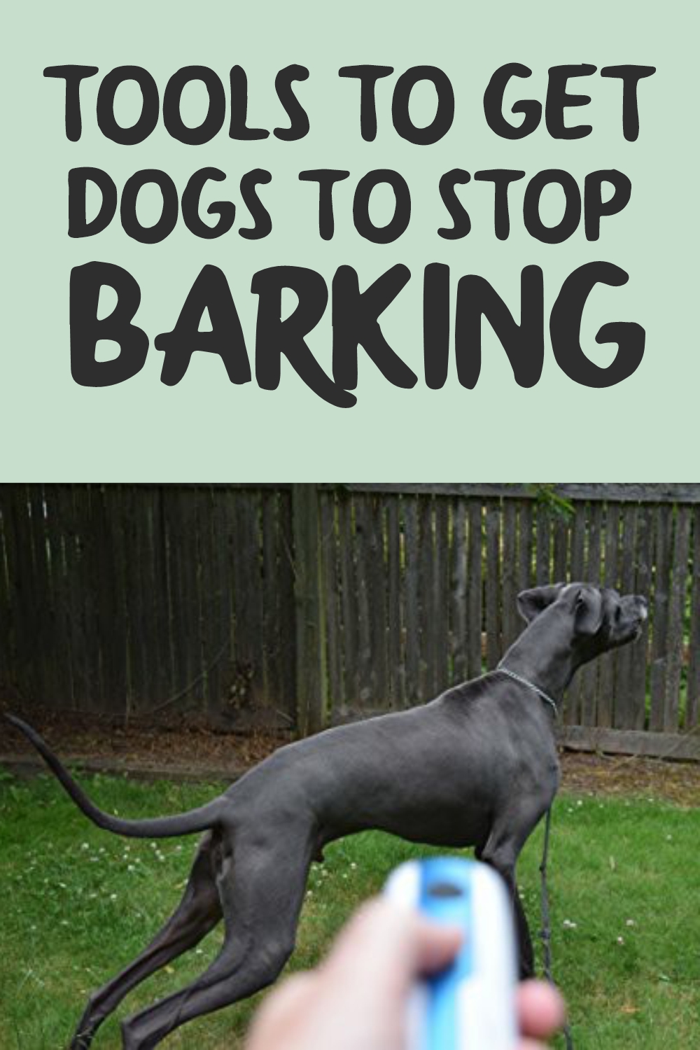 Tools to Get Dogs to Stop Barking