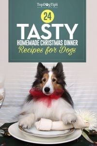 Top Best Christmas Dinner Recipes for Dogs