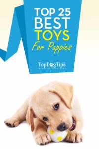 Top Rated Best Toys for Puppies