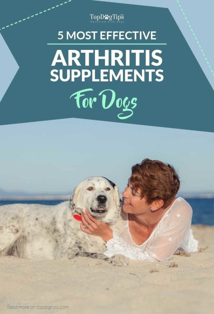 Top Rated Dog Arthritis Supplements