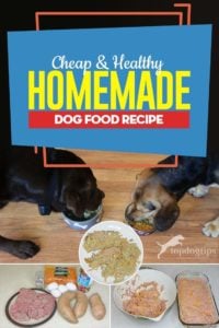 Very Cheap and Healthy Homemade Dog Food